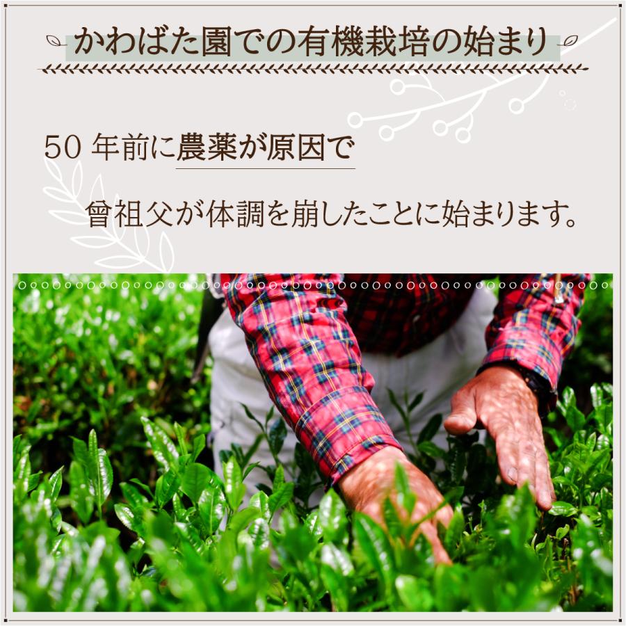 ほうじ茶 100g〜 農薬不使用 高級茶葉 やぶきた 静岡産 低カフェイン カフェインレス ノンカフェイン | かわばた園 | 01