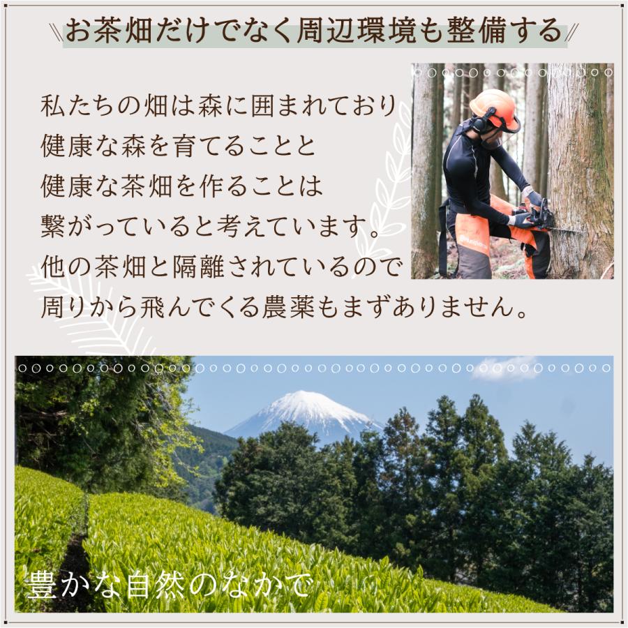 ほうじ茶 100g〜 農薬不使用 高級茶葉 やぶきた 静岡産 低カフェイン カフェインレス ノンカフェイン | かわばた園 | 03