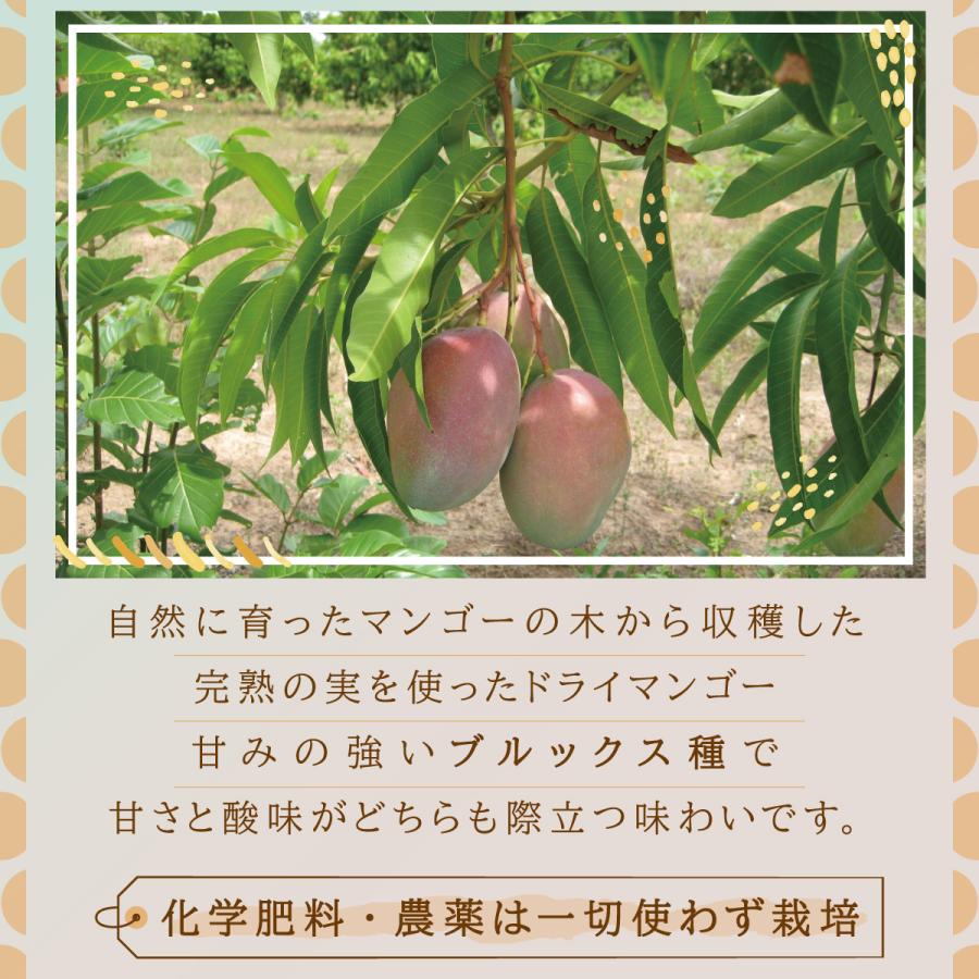 オーガニックドライマンゴー200g×2袋 砂糖不使用 無添加 有機JAS認証 有機ドライフルーツ アフリカ産 |  | 01