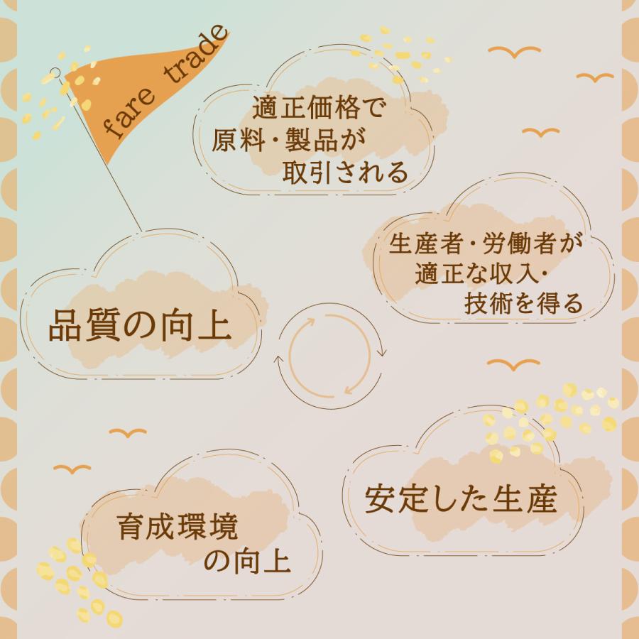 オーガニックドライマンゴー200g×2袋 砂糖不使用 無添加 有機JAS認証 有機ドライフルーツ アフリカ産 |  | 08