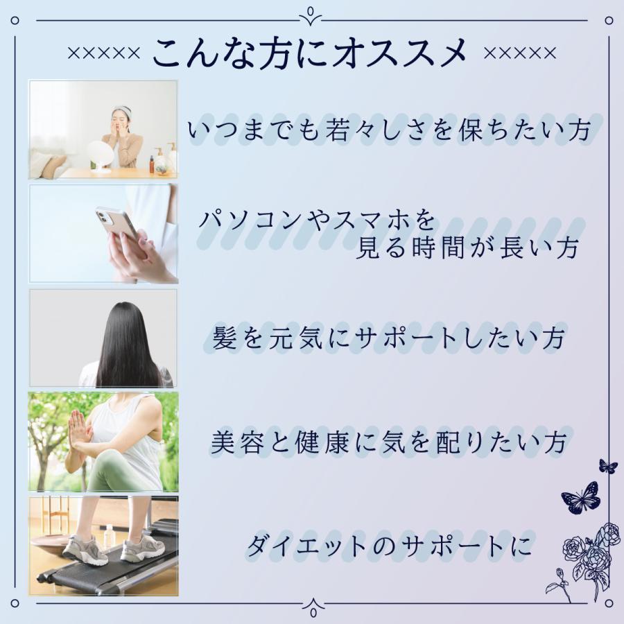 バタフライピー(国産) レモングラス/ミントの香り(2g×10)  青いハーブティー 残留農薬検査済 |  | 11