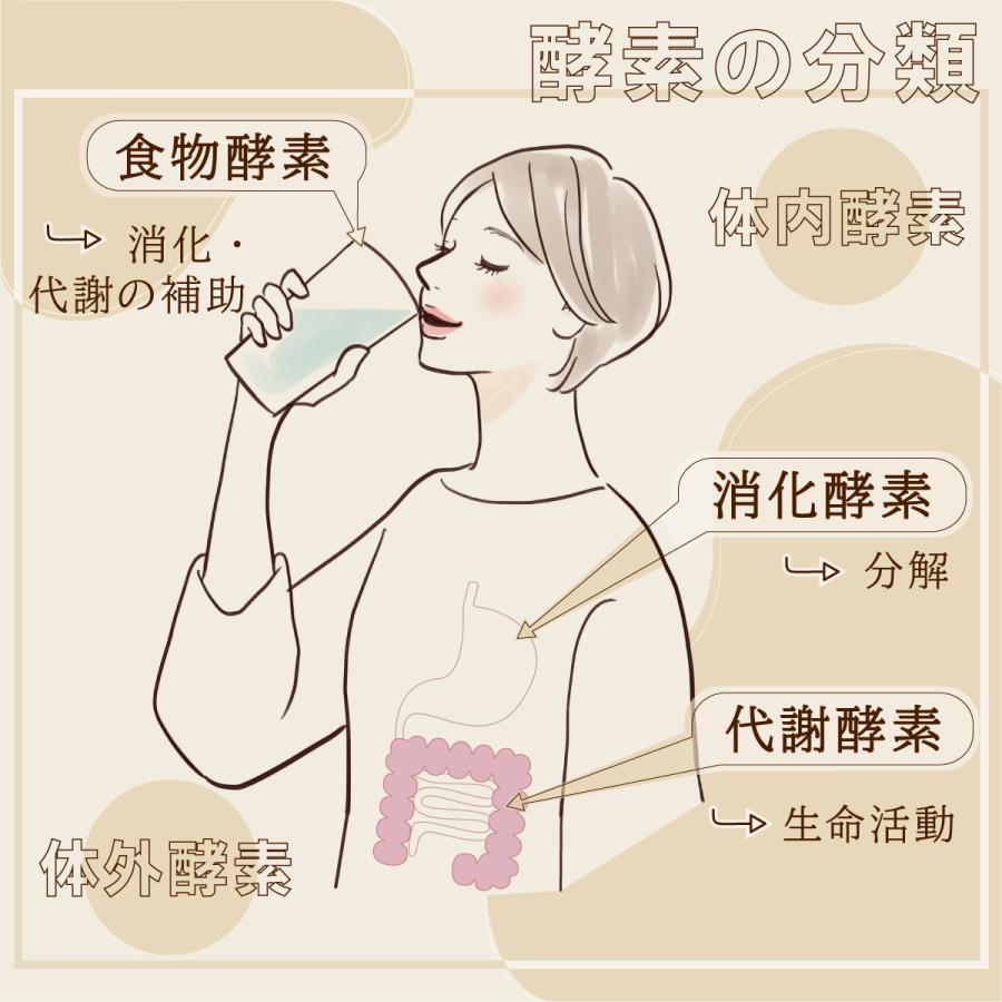 オーガニックアーモンド（生）100g/200g 有機JAS認証付き 無塩 無添加 ノンロースト 植物油不使用 ローフード ヴィーガンナッツ カリフォルニア産 |  | 06