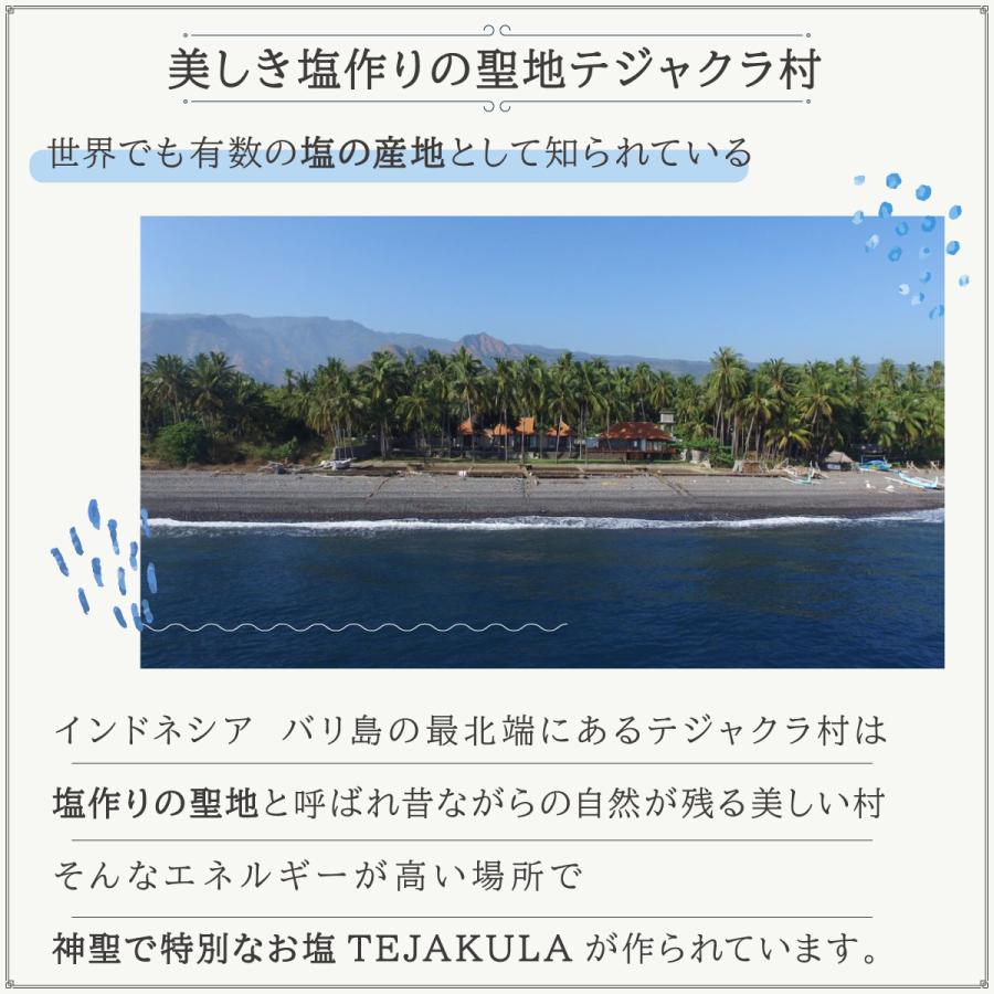 バリ島で500年前から続く完全天日乾燥 テジャクラソルト ピラミッドソルト 海塩 天然塩 天日塩 粗塩 TEJAKULA 150g 500g 1kg |  | 11