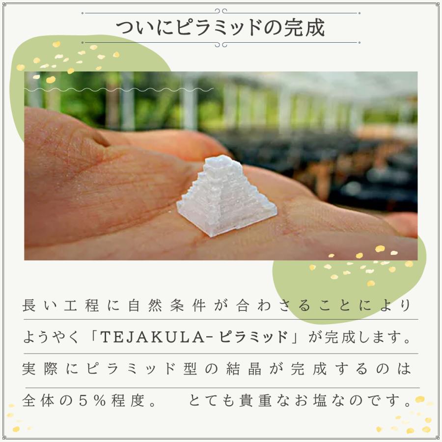 バリ島で500年前から続く完全天日乾燥 テジャクラソルト ピラミッドソルト 海塩 天然塩 天日塩 粗塩 TEJAKULA 150g 500g 1kg |  | 25