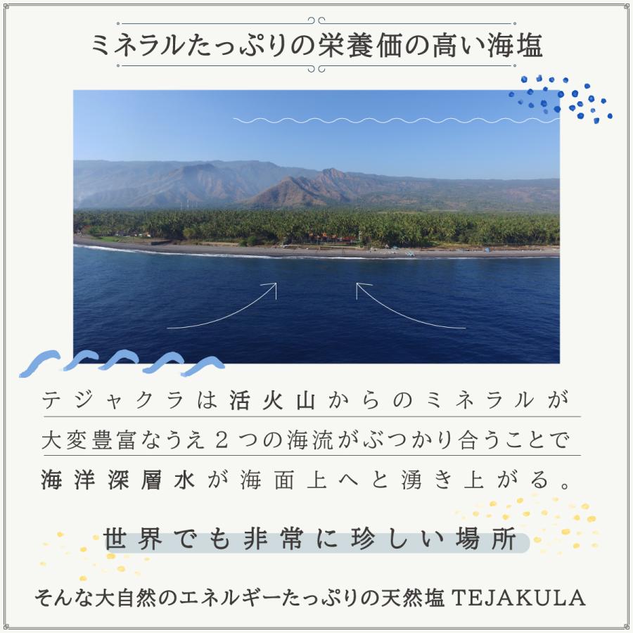 バリ島で500年前から続く完全天日乾燥 テジャクラソルト ピラミッドソルト 海塩 天然塩 天日塩 粗塩 TEJAKULA 150g 500g 1kg |  | 15