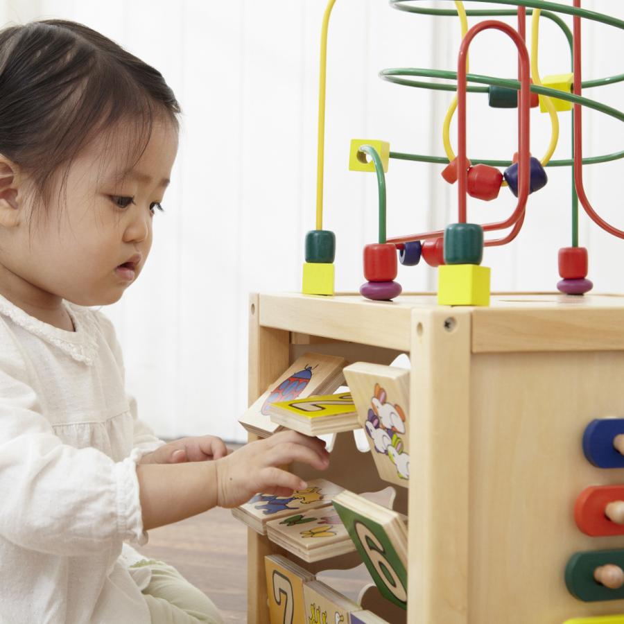 エドインター 森のあそび箱　森の遊び箱 木のおもちゃ 型はめ パズル 知育玩具 赤ちゃん 対象年齢 1.5歳〜 |  | 02