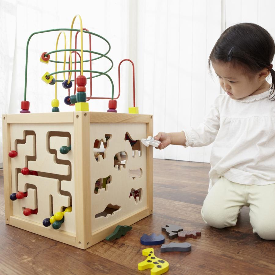 エドインター 森のあそび箱　森の遊び箱 木のおもちゃ 型はめ パズル 知育玩具 赤ちゃん 対象年齢 1.5歳〜 |  | 03