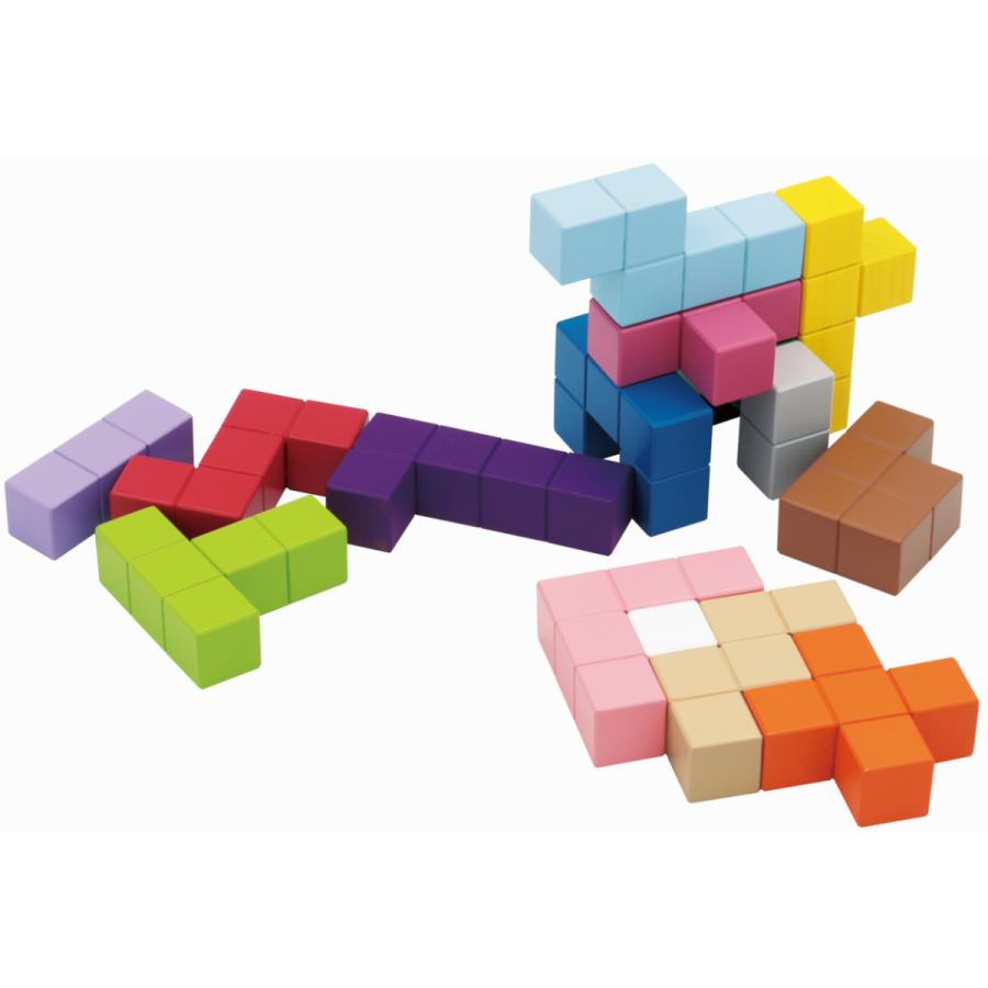 エドインター 立体パズル 知の贈り物シリーズ おもちゃ 積み木  知育玩具 木製玩具 木製ブロック 子ども玩具 ブロック遊び 対象年齢 4歳〜 |  | 01