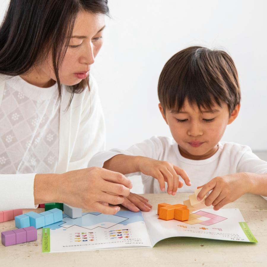 エドインター 立体パズル 知の贈り物シリーズ おもちゃ 積み木  知育玩具 木製玩具 木製ブロック 子ども玩具 ブロック遊び 対象年齢 4歳〜 |  | 02