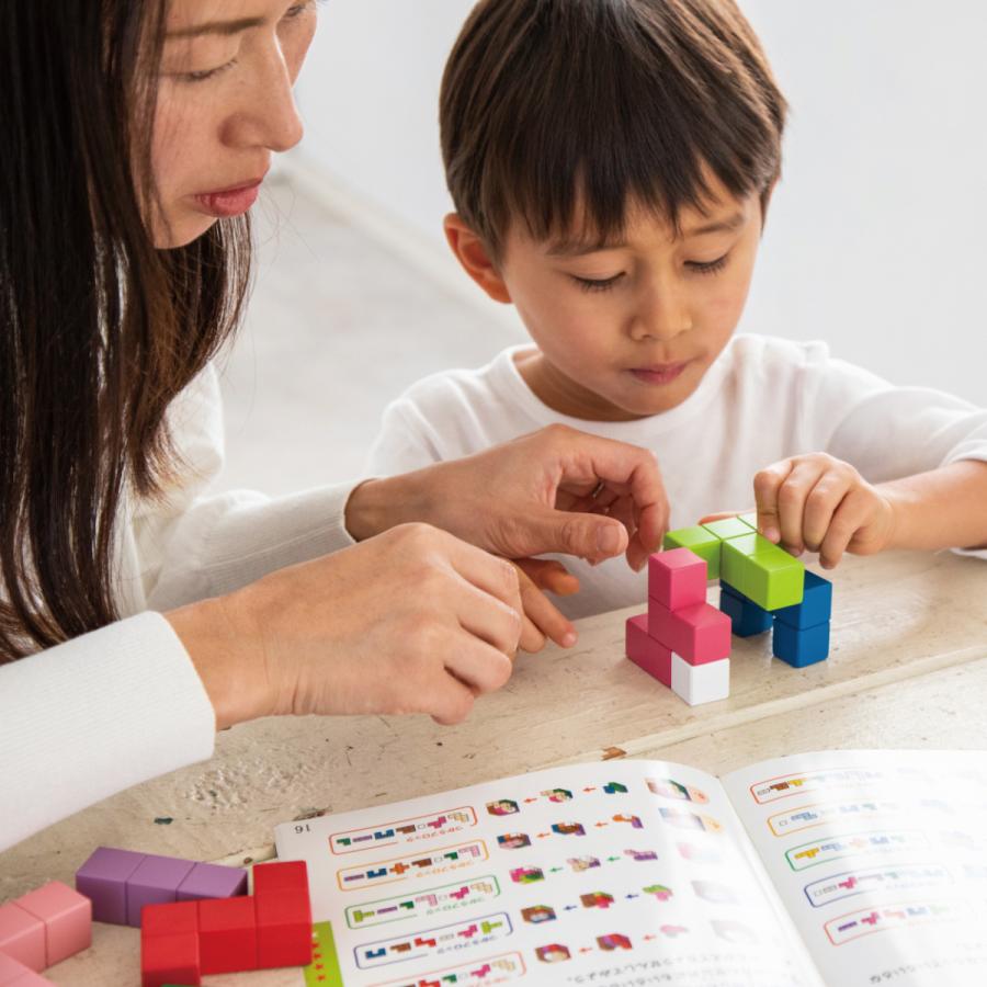 エドインター 立体パズル 知の贈り物シリーズ おもちゃ 積み木  知育玩具 木製玩具 木製ブロック 子ども玩具 ブロック遊び 対象年齢 4歳〜 |  | 03