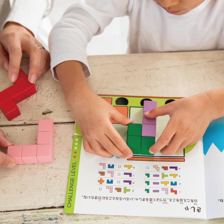 エドインター 立体パズル 知の贈り物シリーズ おもちゃ 積み木  知育玩具 木製玩具 木製ブロック 子ども玩具 ブロック遊び 対象年齢 4歳〜 |  | 04
