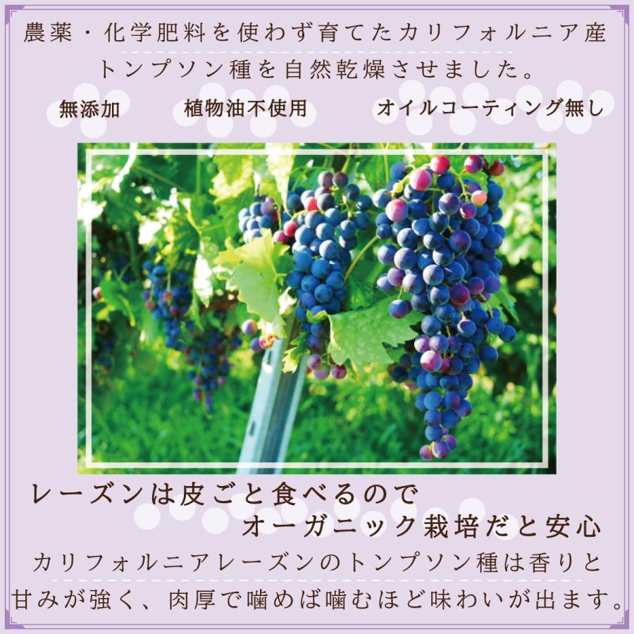 オーガニックレーズン200g/500g 有機JAS認証 無添加 砂糖不使用 ノンオイル カリフォルニア産 |  | 03