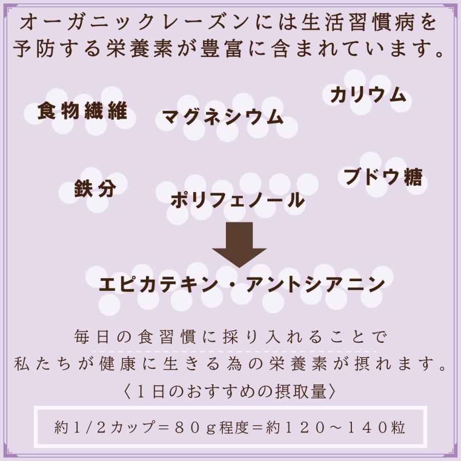 オーガニックレーズン200g/500g 有機JAS認証 無添加 砂糖不使用 ノンオイル カリフォルニア産 |  | 05