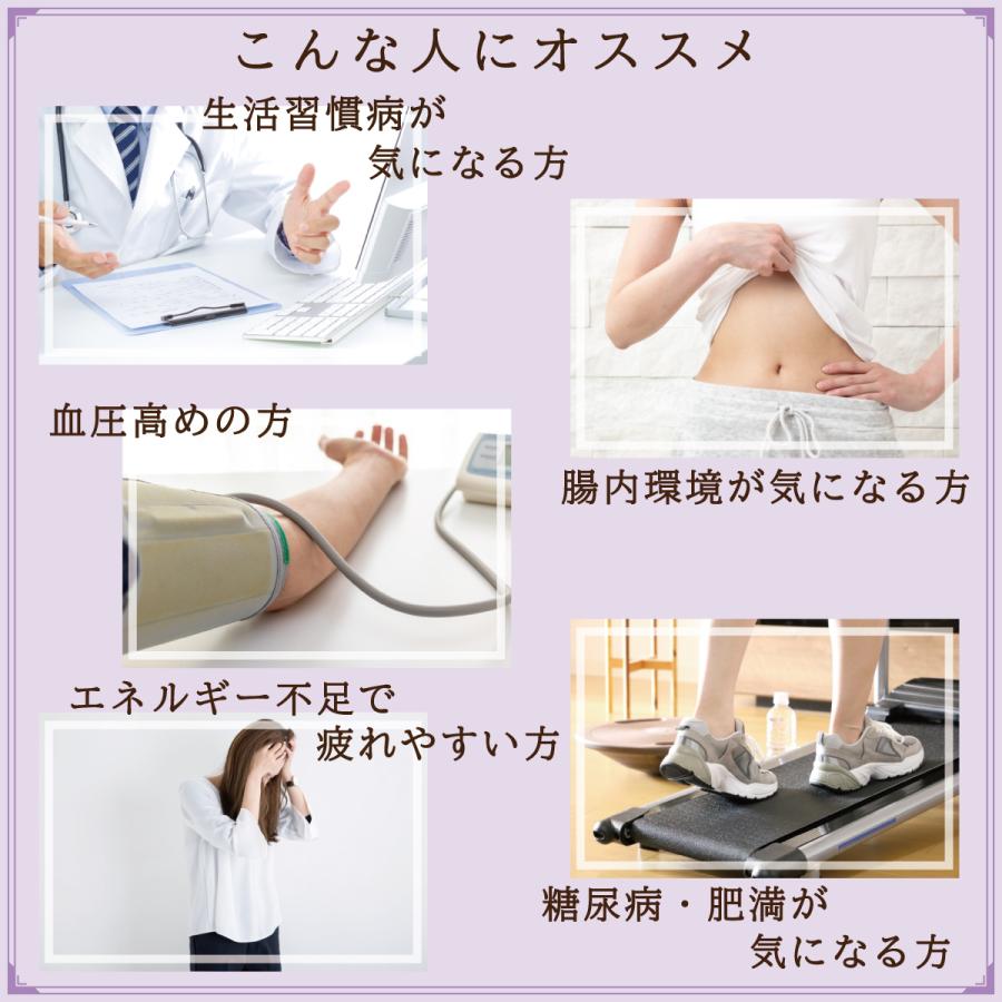 オーガニックレーズン200g/500g 有機JAS認証 無添加 砂糖不使用 ノンオイル カリフォルニア産 |  | 06