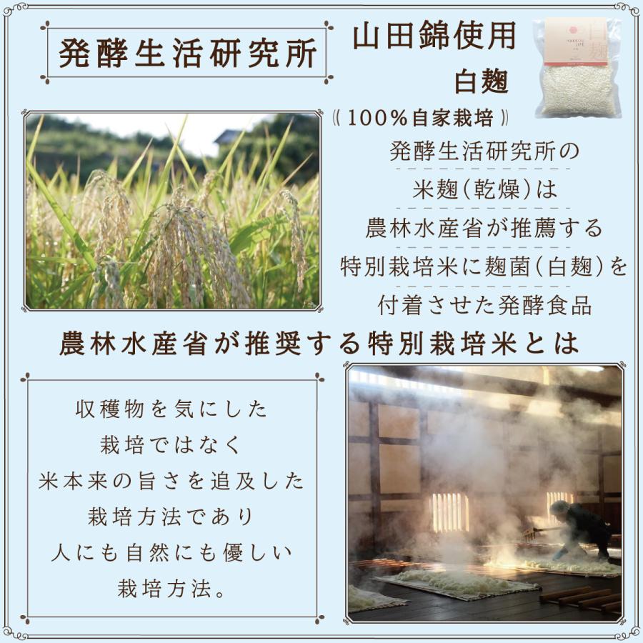 白麹 乾燥 500g×3袋 農林水産省推奨の特別栽培米使用 酸味のある白麹甘酒 丸本酒造 |  | 03