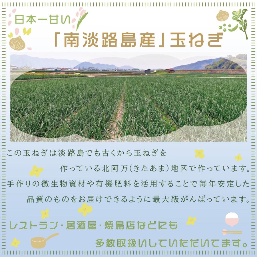 淡路島玉ねぎ3kg ドレッシングレシピ付き 新玉ねぎ（3月から５月末） たまねぎ タマネギ 乾燥玉ねぎ |  | 01
