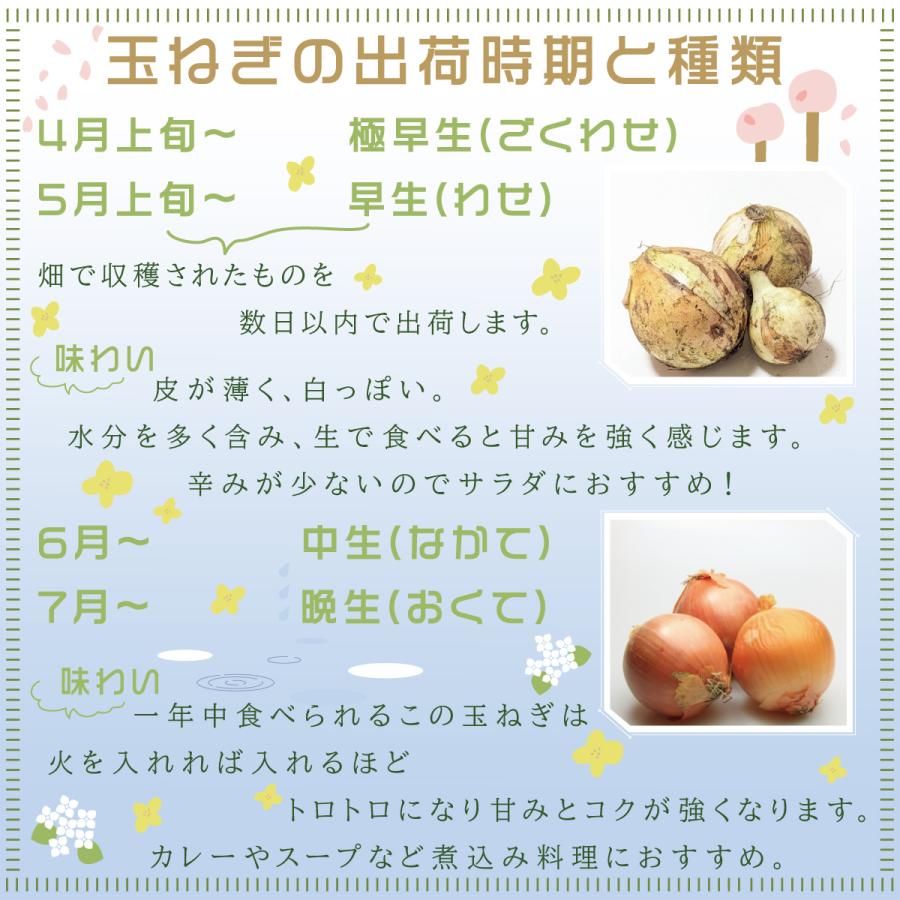 淡路島玉ねぎ3kg ドレッシングレシピ付き 新玉ねぎ（3月から５月末） たまねぎ タマネギ 乾燥玉ねぎ |  | 02