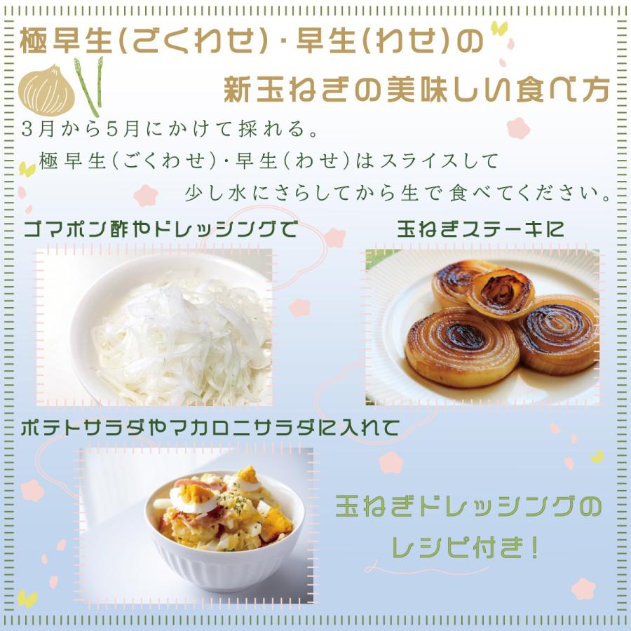 淡路島玉ねぎ3kg ドレッシングレシピ付き 新玉ねぎ（3月から５月末） たまねぎ タマネギ 乾燥玉ねぎ |  | 04