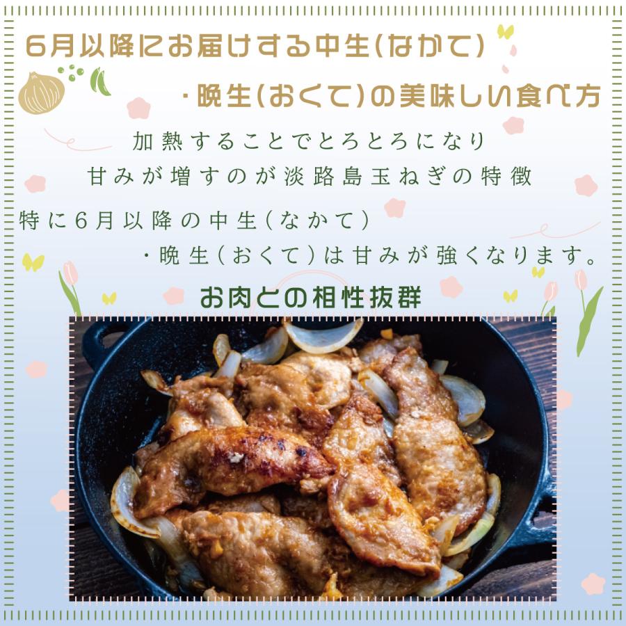 淡路島玉ねぎ3kg ドレッシングレシピ付き 新玉ねぎ（3月から５月末） たまねぎ タマネギ 乾燥玉ねぎ |  | 05