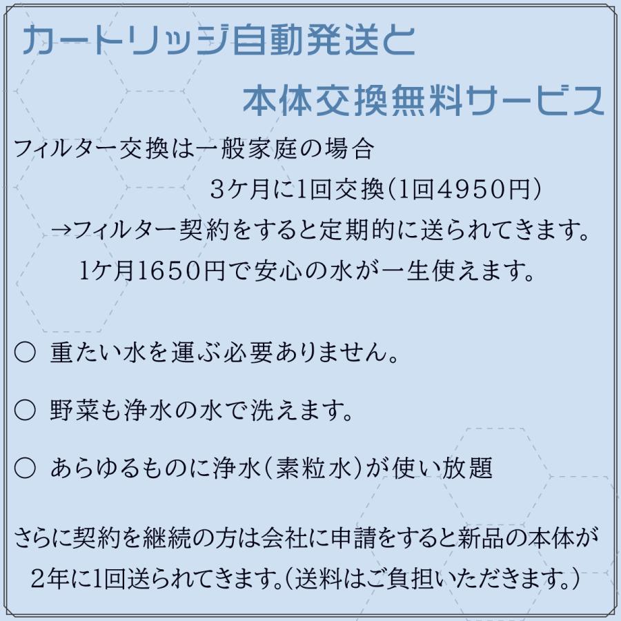 素粒水 ワンウォーターECO [素粒水冊子] [バリ島テジャクラ塩] [錬金術師の塩(超還元塩）] ３点プレゼント 専用コミュニティでアフターフォロー完備 |  | 05