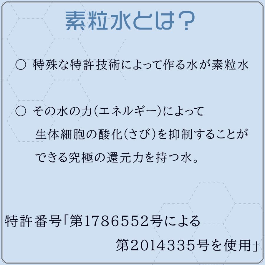 素粒水 セラピィーシャワー [素粒水冊子] [バリ島テジャクラ塩] [錬金術師の塩(超還元塩）] ３点プレゼント 専用コミュニティでアフターフォロー完備 |  | 01