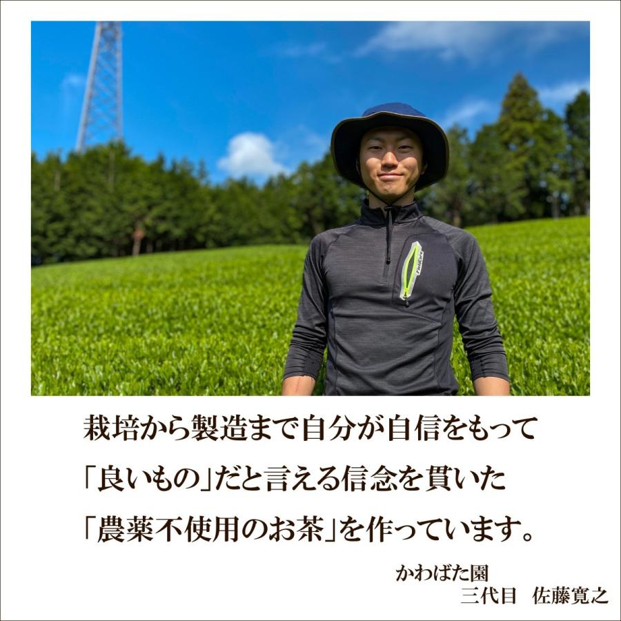 上煎茶 100g 農薬不使用 高級茶 生茶 やぶきた かわばた園 静岡産 | かわばた園 | 11