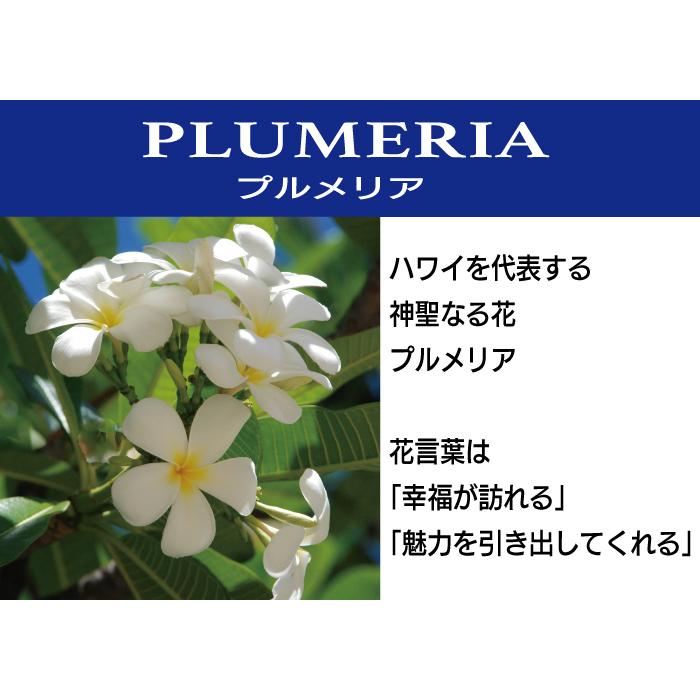 ハワイアンジュエリー 指輪 リング トゥリング ピンキーリング 14Kイエローゴールド 透かしリング 送料無料【送料無料】の画像