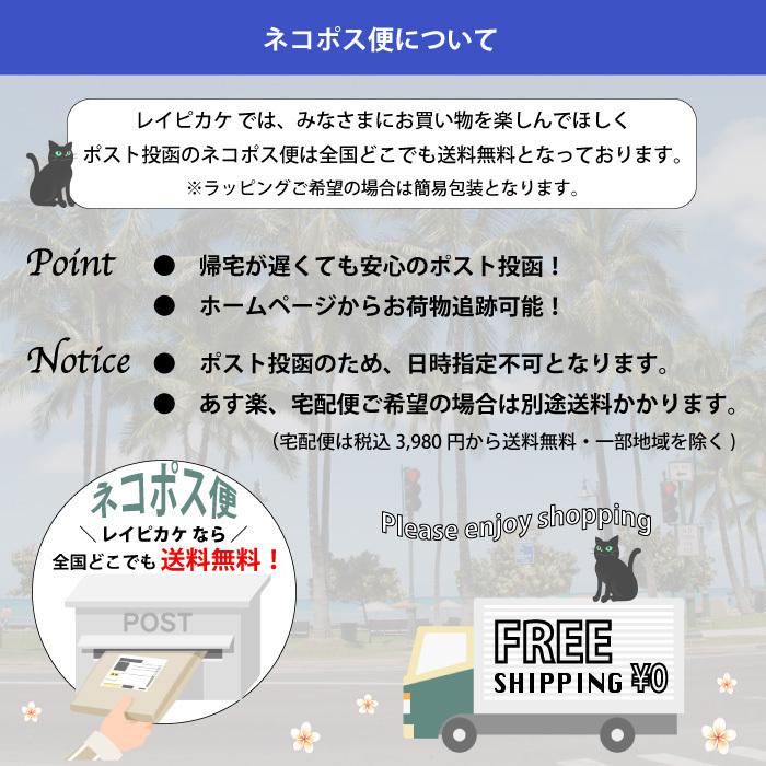 ハワイアンジュエリー ネックレス サージカルステンレス サンゴッドペンダントヘッド イエローカラー 【メール便送料無料】｜leipikake｜19