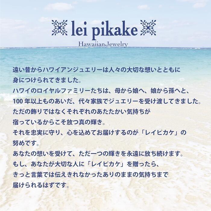 ハワイアンジュエリー サージカルステンレス ネックレス シルバーカラー フェザー ペンダント 【メール便送料無料】｜leipikake｜14