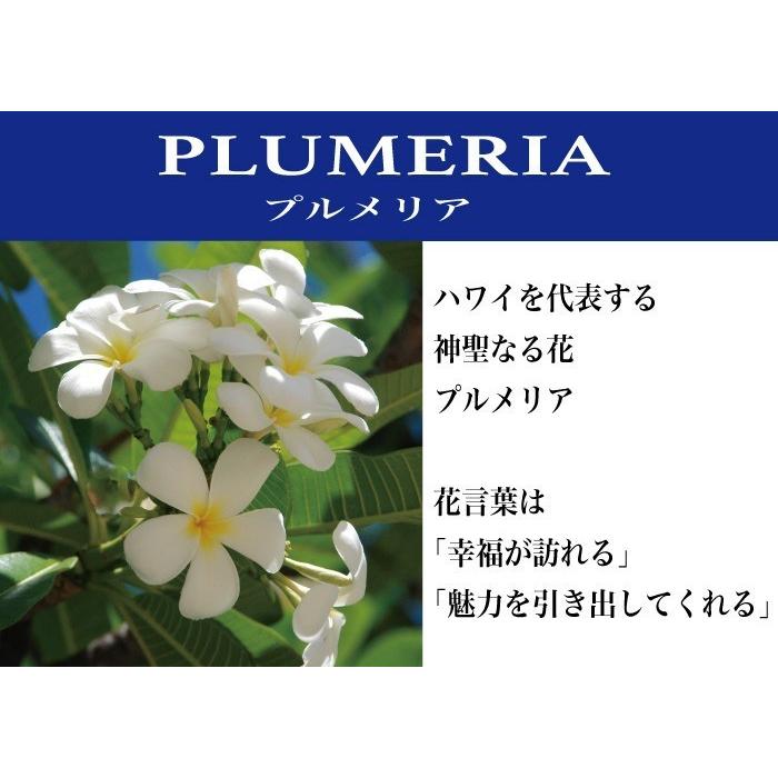 ハワイアンジュエリー トゥートーンリング マリッジリング 結婚指輪 オーダー 幅6×8mm 厚2.5mm ・Silver925 シルバー【送料無料】_11
