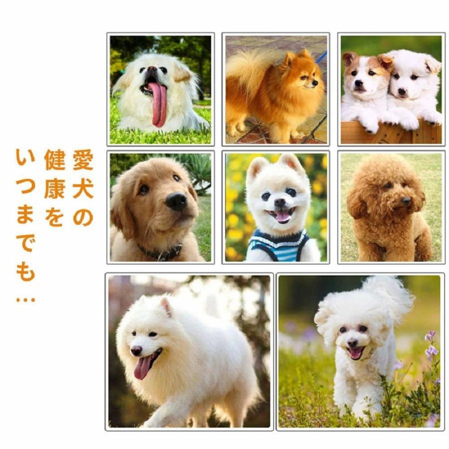 Yumcute ペットドライヤー ペット ドライヤー ペットヘアードライヤー ペット用 犬 猫 ブロワー 乾燥 送風機 速乾 ペットヘアー乾燥機 簡単操作 業務用 静音_10