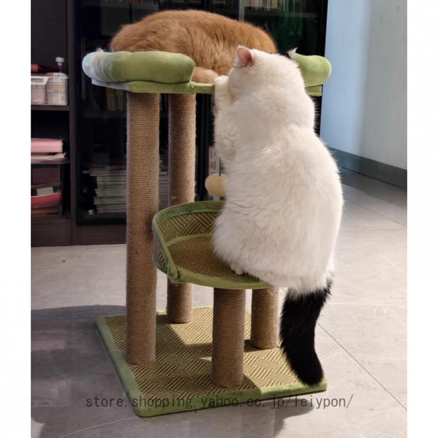 猫タワー 猫ハウス 猫ツリー キャットタワー 小さい ミニ 小型 爪とぎ 運動不足 ペット用品 ポンポンおもちゃ キャットタワー 据え置き型 猫タワー_5