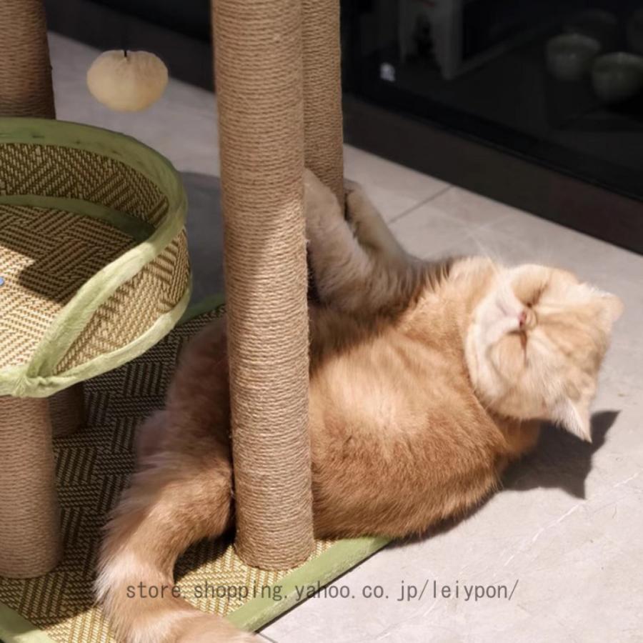 猫タワー 猫ハウス 猫ツリー キャットタワー 小さい ミニ 小型 爪とぎ 運動不足 ペット用品 ポンポンおもちゃ キャットタワー 据え置き型 猫タワー_8