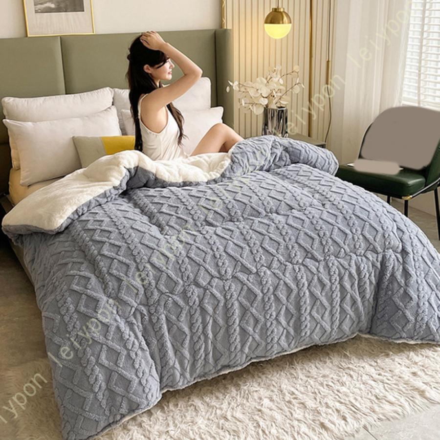 掛ふとん 掛けふとん 掛け布団 シングル とろける毛布の肌触り 掛布団 毛布ふとん 毛布 毛布ふとん 春 秋 冬用 暖かい 綿入り ほこりの出にくい 掛けふとん |  | 17