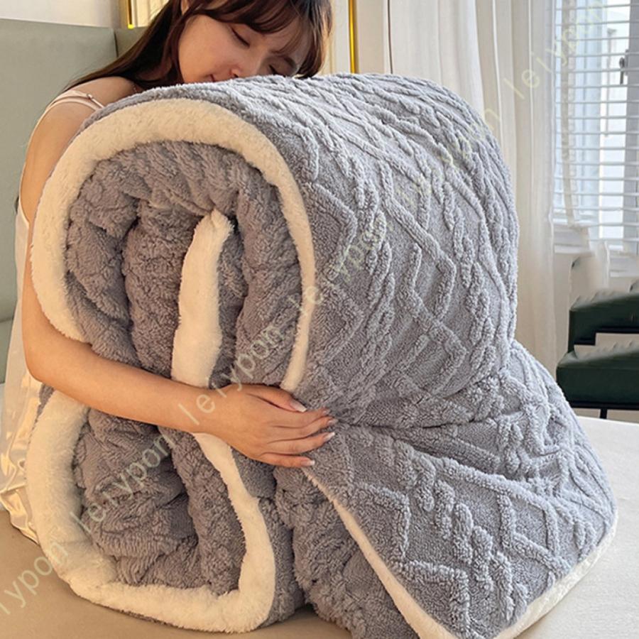 掛ふとん 掛けふとん 掛け布団 シングル とろける毛布の肌触り 掛布団 毛布ふとん 毛布 毛布ふとん 春 秋 冬用 暖かい 綿入り ほこりの出にくい 掛けふとん |  | 18