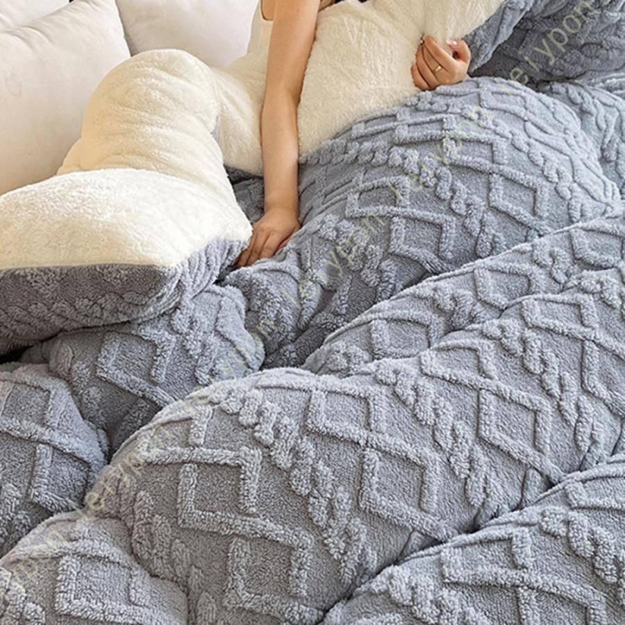 掛ふとん 掛けふとん 掛け布団 シングル とろける毛布の肌触り 掛布団 毛布ふとん 毛布 毛布ふとん 春 秋 冬用 暖かい 綿入り ほこりの出にくい 掛けふとん |  | 20