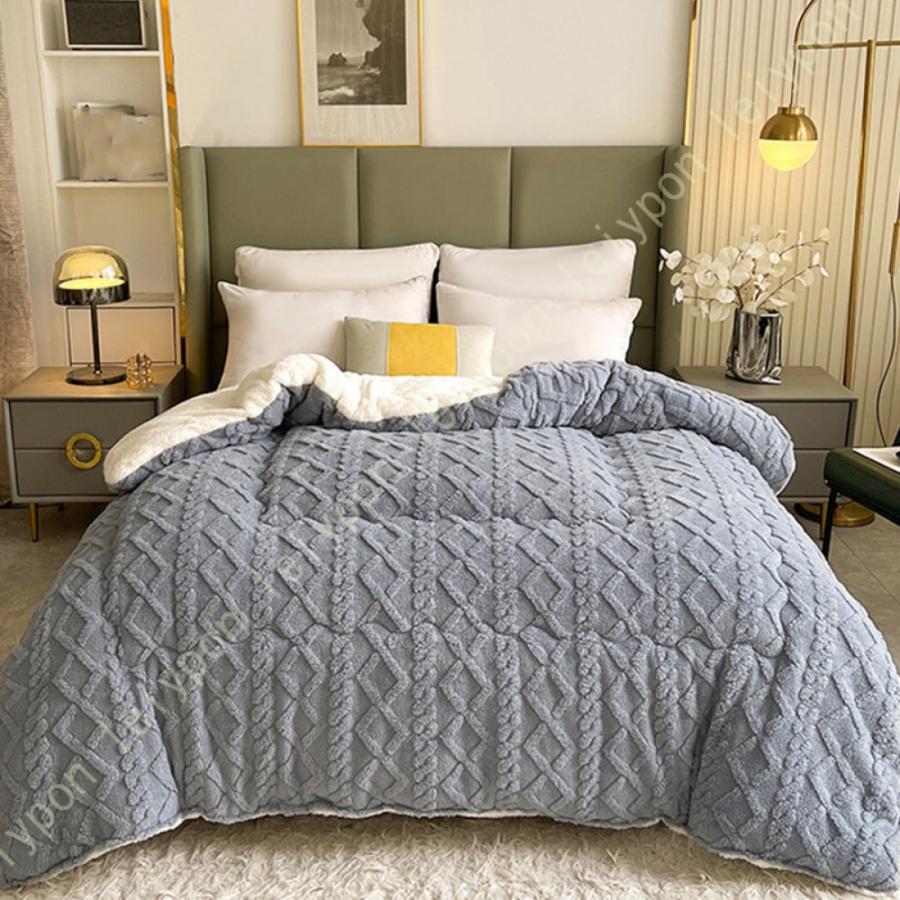 掛ふとん 掛けふとん 掛け布団 シングル とろける毛布の肌触り 掛布団 毛布ふとん 毛布 毛布ふとん 春 秋 冬用 暖かい 綿入り ほこりの出にくい 掛けふとん |  | 21