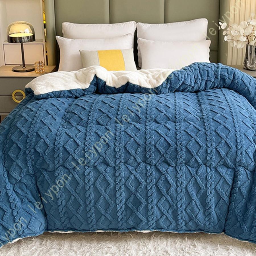 掛ふとん 掛けふとん 掛け布団 シングル とろける毛布の肌触り 掛布団 毛布ふとん 毛布 毛布ふとん 春 秋 冬用 暖かい 綿入り ほこりの出にくい 掛けふとん |  | 25