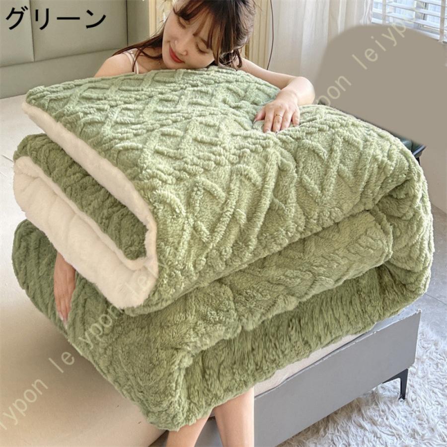 掛ふとん 掛けふとん 掛け布団 シングル とろける毛布の肌触り 掛布団 毛布ふとん 毛布 毛布ふとん 春 秋 冬用 暖かい 綿入り ほこりの出にくい 掛けふとん |  | 11