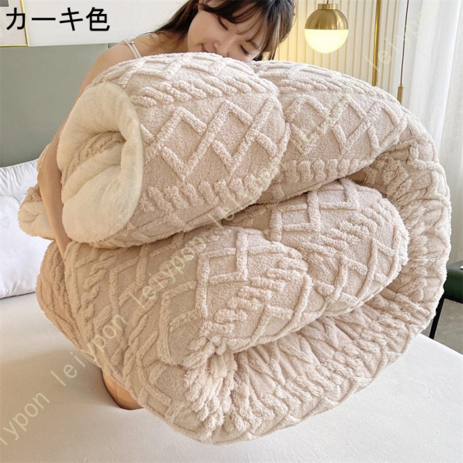 掛ふとん 掛けふとん 掛け布団 シングル とろける毛布の肌触り 掛布団 毛布ふとん 毛布 毛布ふとん 春 秋 冬用 暖かい 綿入り ほこりの出にくい 掛けふとん |  | 12