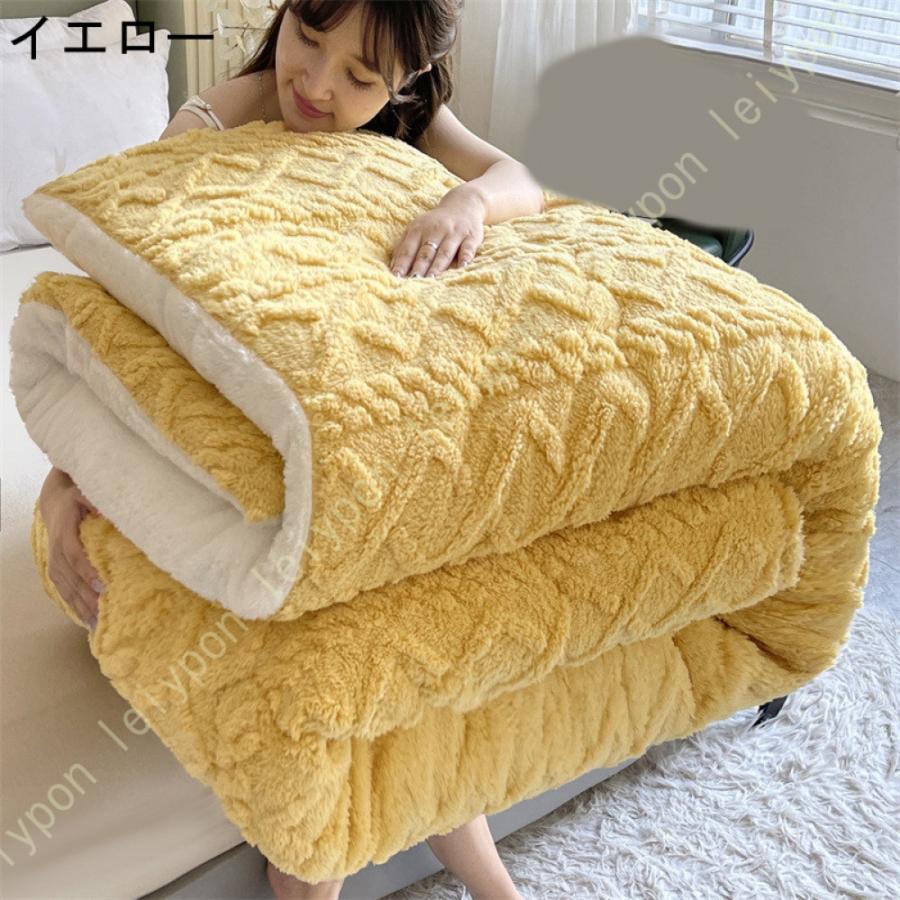 掛ふとん 掛けふとん 掛け布団 シングル とろける毛布の肌触り 掛布団 毛布ふとん 毛布 毛布ふとん 春 秋 冬用 暖かい 綿入り ほこりの出にくい 掛けふとん |  | 13