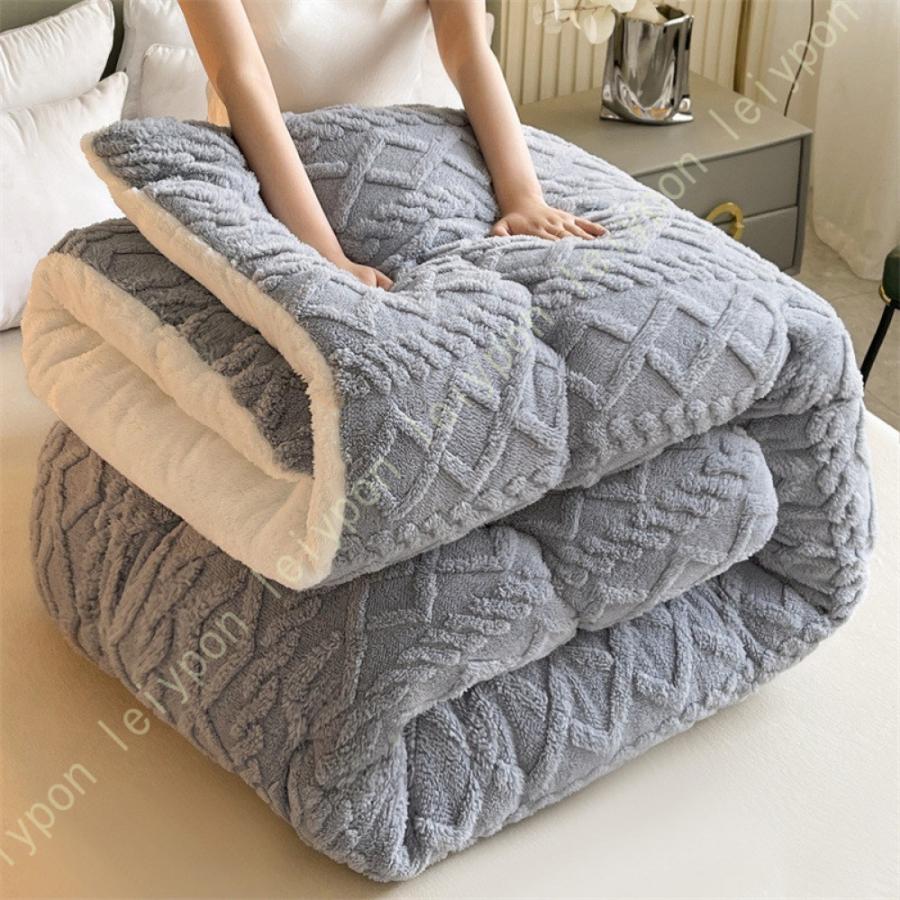 掛ふとん 掛けふとん 掛け布団 シングル とろける毛布の肌触り 掛布団 毛布ふとん 毛布 毛布ふとん 春 秋 冬用 暖かい 綿入り ほこりの出にくい 掛けふとん |  | 15