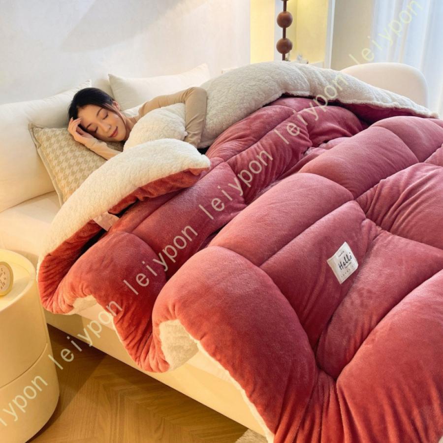 超暖毛布 毛布 ブランケット シングル ダブル 暖 吸湿発熱 あったか 暖か 温か 洗える 冬用 防寒対策 寒さ対策 掛け布団 掛布団 布団 ふとん フトン 寝具 |  | 23