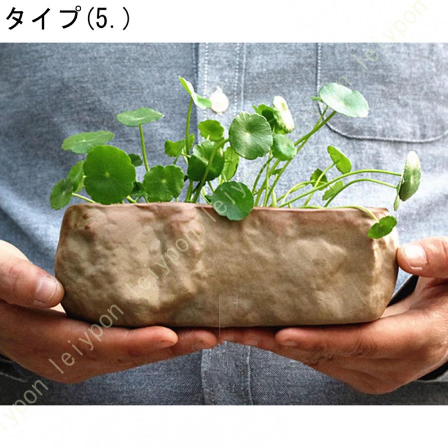 多肉植物鉢 サボテン鉢 鉢植え セラミック 水鉢 水培 排水穴なし 多肉植物鉢 サボテン鉢 鉢植え セラミック 水鉢 水培 排水穴なし