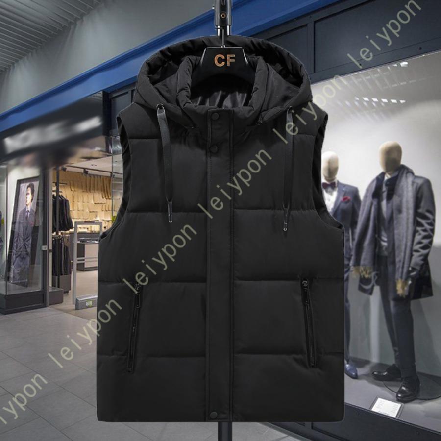 ダウンベスト メンズ 中綿入り 立ち襟 トップス 中綿ベスト フード付き フードベスト 秋冬 シンプルで無地ベスト ダウンベスト 中綿ベスト 冬 防寒 おしゃれ | 