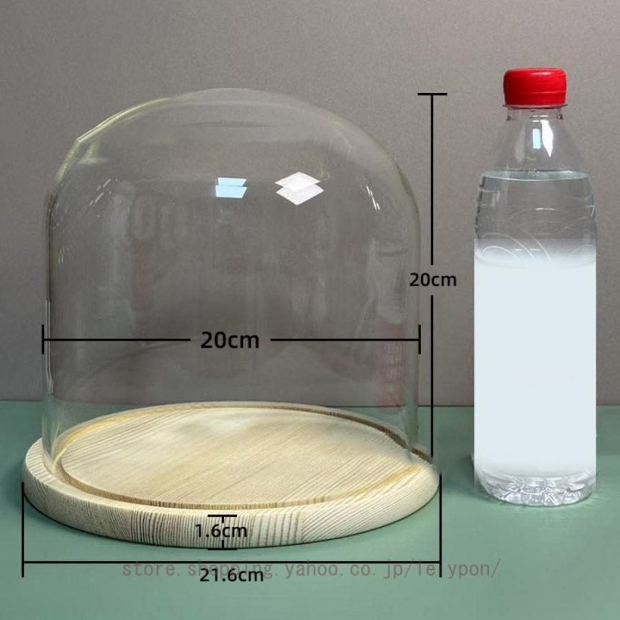 ガラスドーム 球の形 ガラスケース 木質ベース付き フィギュア 化粧品 模型 プリザーブドフラワー 装飾品 ガラスカバー ドライフラワー 展示 デコレーション |  | 07