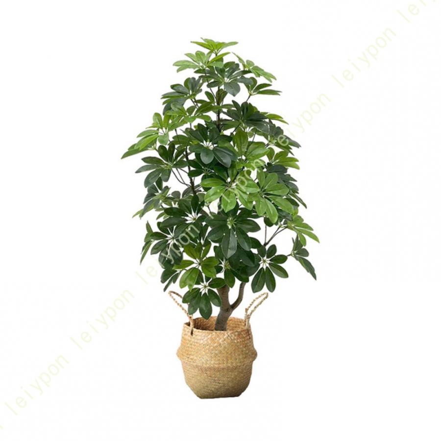 人工観葉植物について5000円でお譲りします 人工観葉植物 大型 本物そっくり ドラセナ 4枝 高さ160cm フェイク