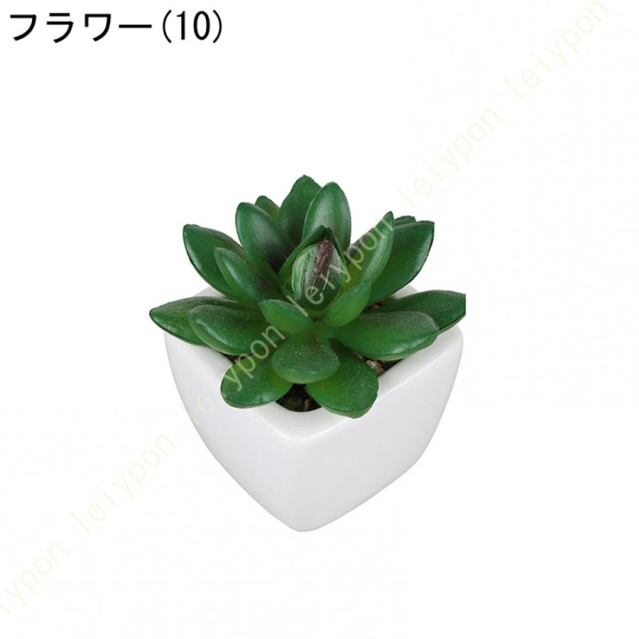 多肉植物鉢 ミニサボテン鉢 可愛い 小さい 観葉植物 植木鉢