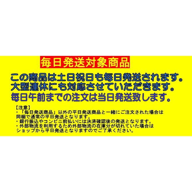 水着 フィットネス水着 水着レディース フィットネス 競泳水着 スイムウェア キャップ付き日本製 めくれ防止 送料無料 CSMB120｜lemode1｜14