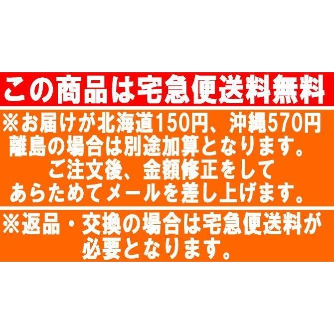 フィットネス 水着 レディース セパレート レディース 大きいサイズ セパレート 水着 女性用 体型カバー 競泳水着 スイミング スイムウェア cC-fit4｜lemode1｜21